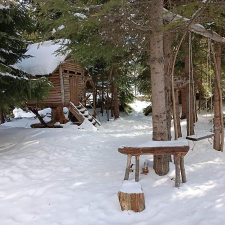 "Моето Любимо Място", Смолянски Езера - "My Favorite Place", Smolyan Lakes Esterno foto
