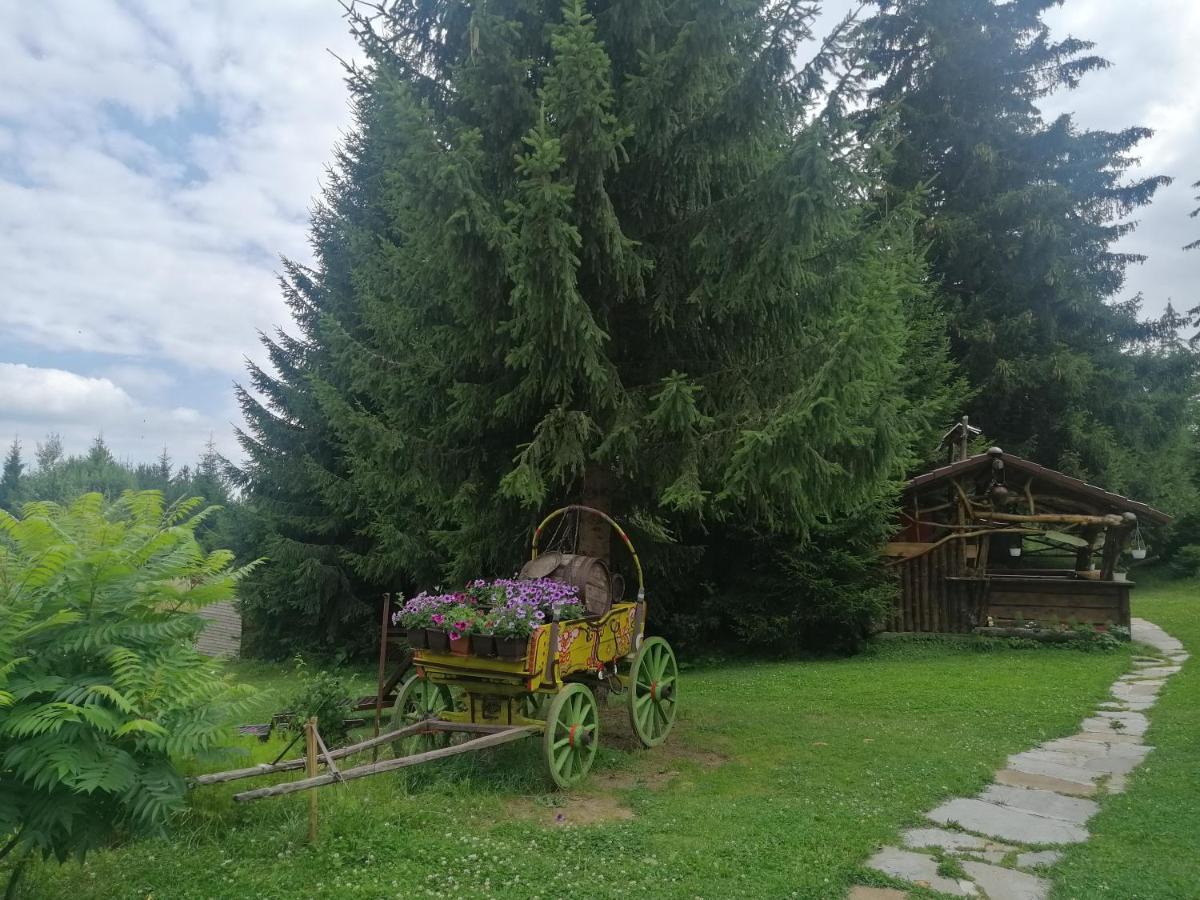 "Моето Любимо Място", Смолянски Езера - "My Favorite Place", Smolyan Lakes Esterno foto