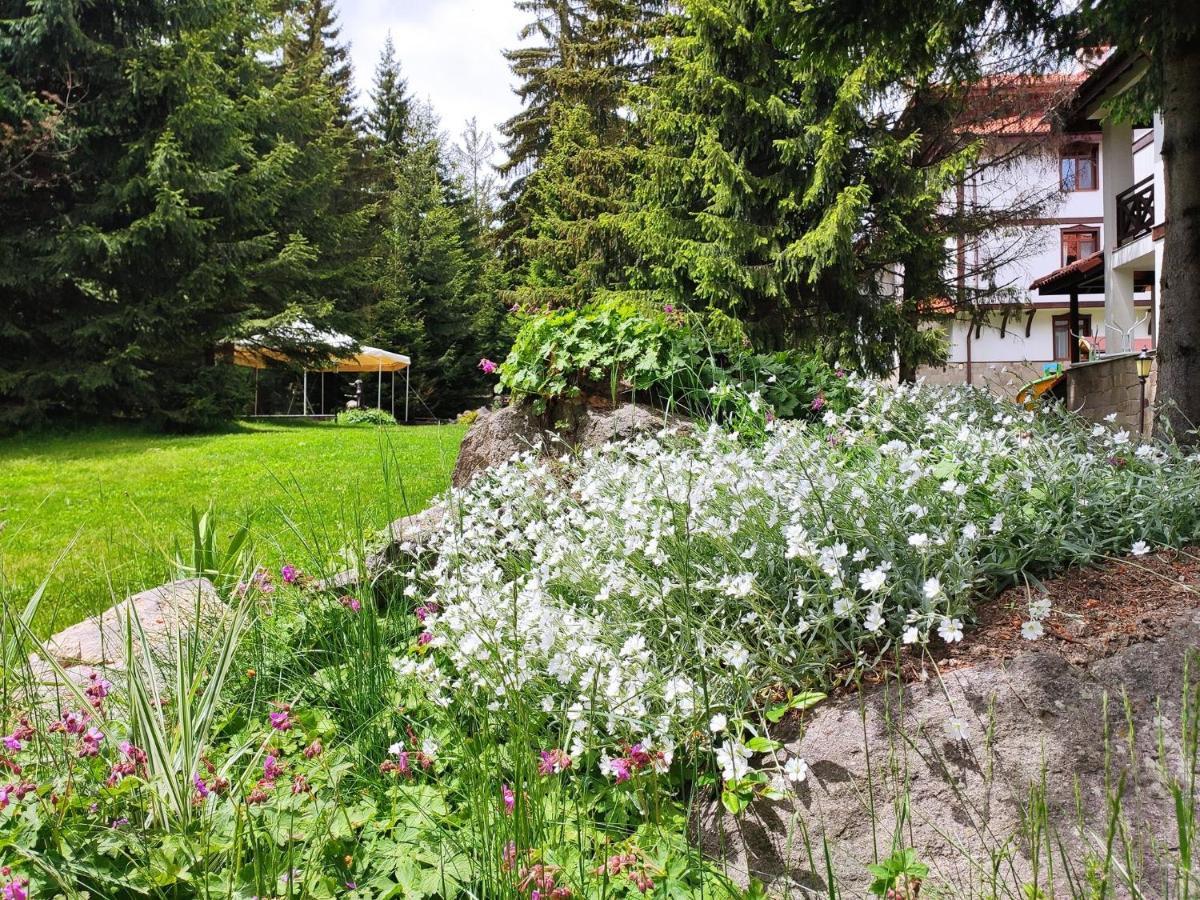 "Моето Любимо Място", Смолянски Езера - "My Favorite Place", Smolyan Lakes Esterno foto