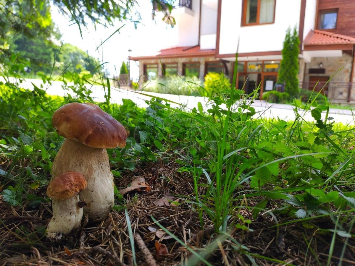 "Моето Любимо Място", Смолянски Езера - "My Favorite Place", Smolyan Lakes Esterno foto